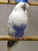 Klik p� billedet for at se det