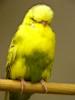Klik p� billedet for at se det